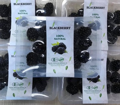 PHÚC BỒN TỬ ĐEN ORGANIC