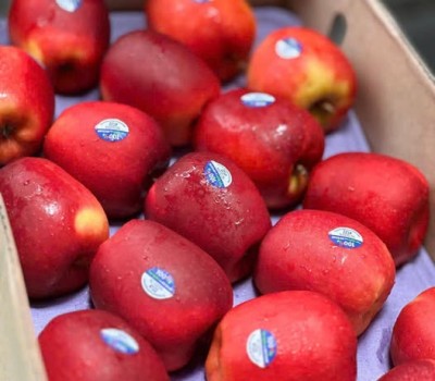 TÁO QUEEN NEW ZEALAND