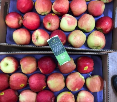 TÁO AMBROSIA CANADA ORGANIC