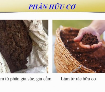 QUY TRÌNH Ủ PHÂN HỮU CƠ VI SINH