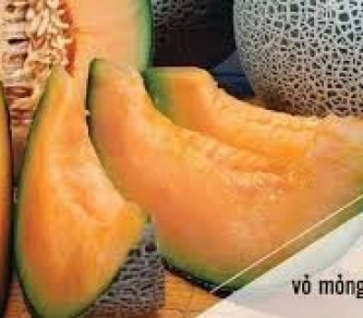 DƯA LƯỚI NHẬT HỮU CƠ KIWAMI