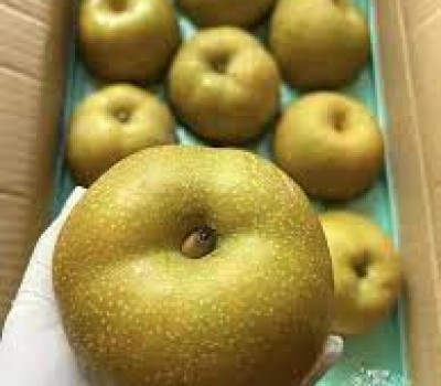 LÊ NHẬT BẢN