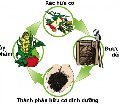 CÁC BIỆN PHÁP BẢO VỆ THỰC VẬT TRONG CANH TÁC NÔNG TRẠI HỮU CƠ