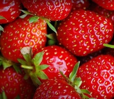 DÂU TÂY ORGANIC  VN- NEW ZEALAND / HỘP 