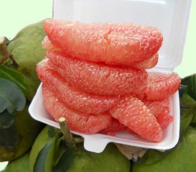 BƯỞI DA XANH SẠCH BẾN TRE