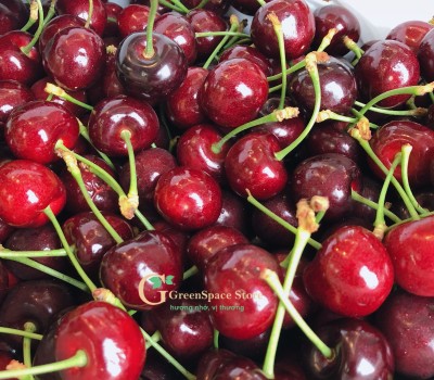 CHERRY DAWSON