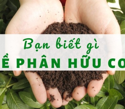 NÔNG NGHIỆP HỮU CƠ LÀ GÌ ?
