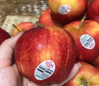 TÁO GALA MỸ ORGANIC