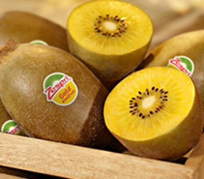 Kiwi vàng New Zealand