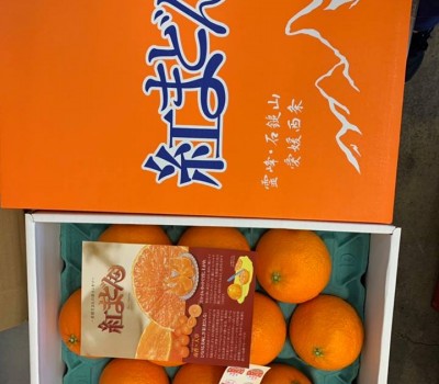 CAM VÀNG ORGANIC NHẬT BẢN