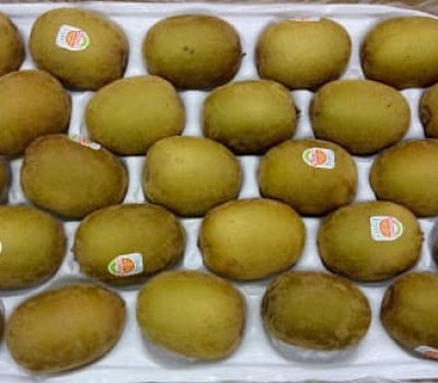KIWI VÀNG ORGANIC NEW ZEALAND