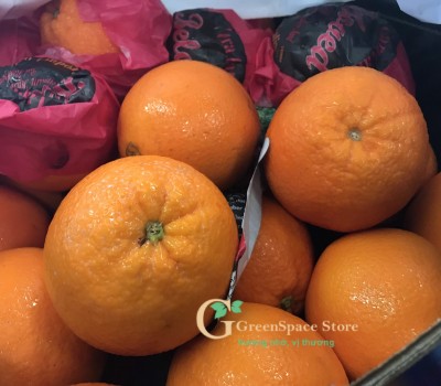CAM CARA ÚC PREMIUM