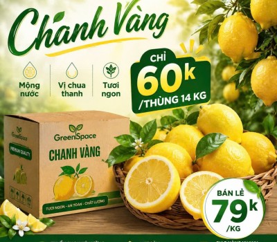 CHANH VÀNG 