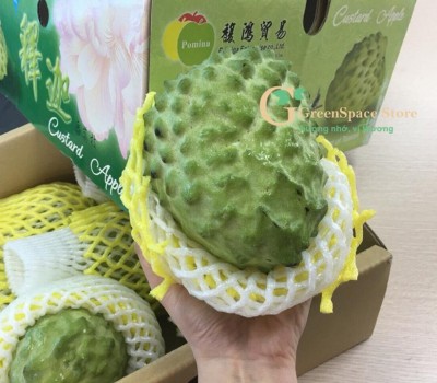 NA DAI ĐÀI LOAN (NA NGON NHẤT THẾ GIỚI)