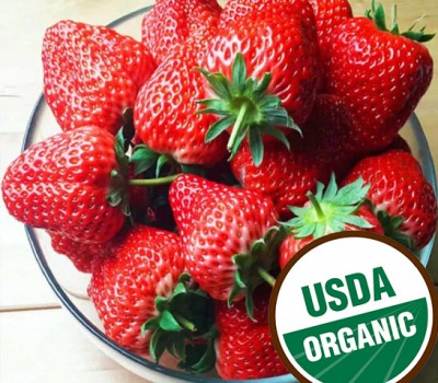 DÂU TÂY ORGANIC MỸ