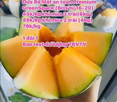 Dưa Lưới Đế Mật an toàn Premium GreenSpace