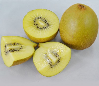KIWI VÀNG - NEWZEALAND