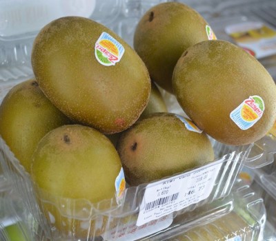 KIWI VÀNG - NEWZEALAND