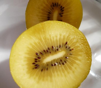 KIWI VÀNG - NEWZEALAND