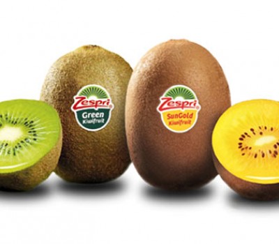 KIWI VÀNG - NEWZEALAND