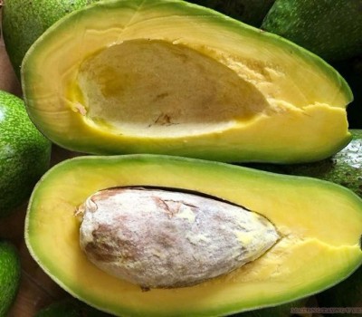 Bơ Sáp Trịnh Mười