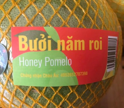 BƯỞI 5 ROI CHUẨN GLOBAL GAP