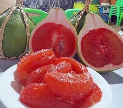 BƯỞI RUBY THÁI LAN