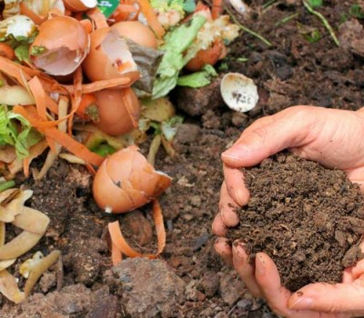 CÁC LOẠI PHÂN BÓN HỮU CƠ PHỔ BIẾN