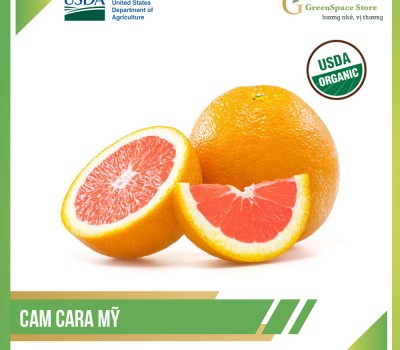 CAM - CARA