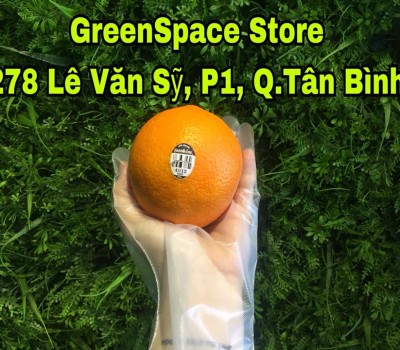 CAM NAVEL RUỘT VÀNG AI CẬP 