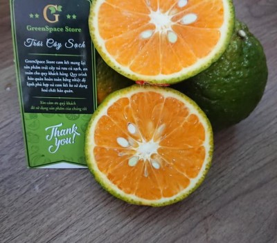 CAM SÀNH CHUẨN GLOBAL GAP