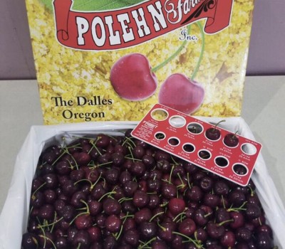 CHERRY CHELAN - MỸ WASINGTON