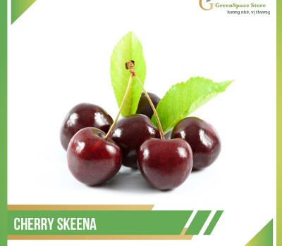 CHERRY ĐỎ SKEENA