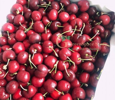 CHERRY ĐỎ ÚC