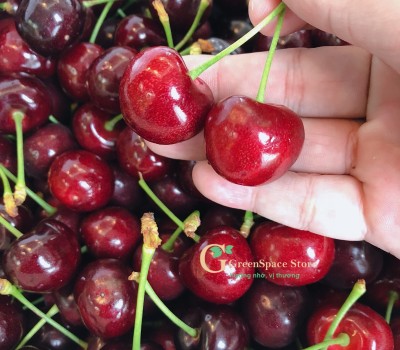 CHERRY DAWSON