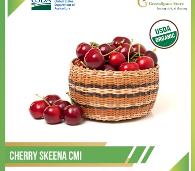 CHERRY SKEENA CMI