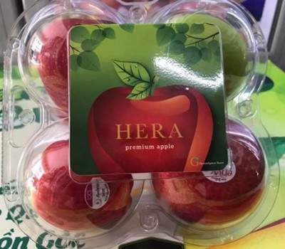 COMBO HERA