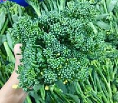 DANH SÁCH CÁC HOẠT CHẤT CẤM TRONG DƯ LƯỢNG NÔNG SẢN NÔNG NGHIỆP HỮU CƠ CHUẨN USDA
