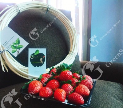 DÂU TÂY ORGANIC VN - NHẬT