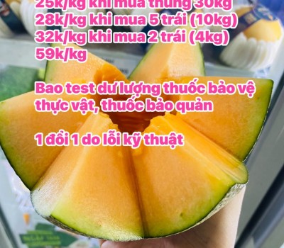 DƯA LƯỚI ĐẾ MẬT AN TOÀN GREENSPACE 