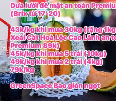 Dưa Lưới Đế Mật an toàn Premium GreenSpace