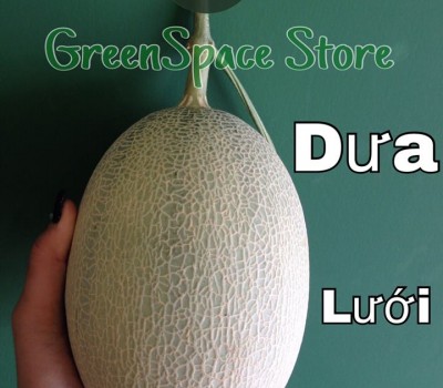 DƯA LƯỚI FUJI ORGANIC VN -NHẬT 
