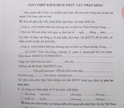 GIẤY PHÉP NHẬP KHẨU VIỆT QUẤT MỸ