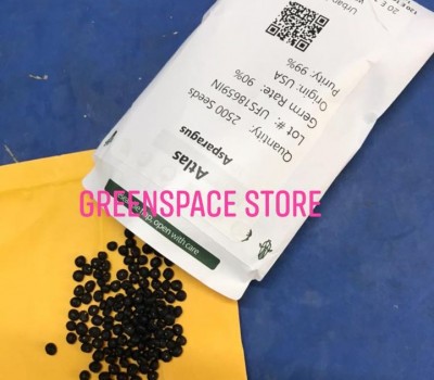 HẠT GIỐNG MĂNG TÂY MỸ ATLAS THUẦN CHỦNG F1 HỮU CƠ GREENSPACE STORE