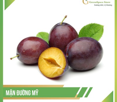 MẬN ĐƯỜNG MỸ