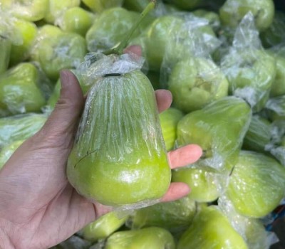 MẬN TAM HOA SẠCH ĐỒNG THÁP
