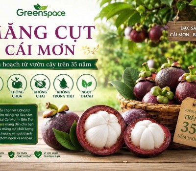 MĂNG CỤT AN TOÀN CÁI MƠN GREENSPACE
