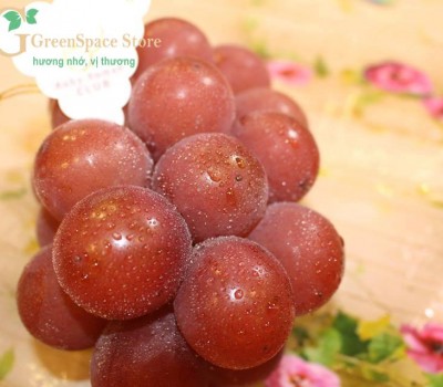 NHO ĐỎ RUBY NHẬT