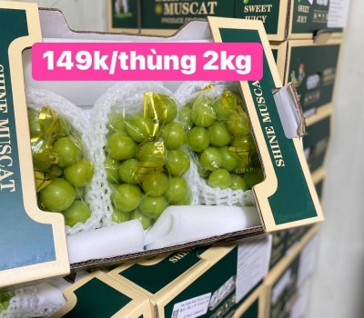 NHO MẪU ĐƠN