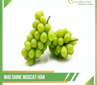 NHO SHINE MUSCAT HÀN (NHO MẪU ĐƠN)